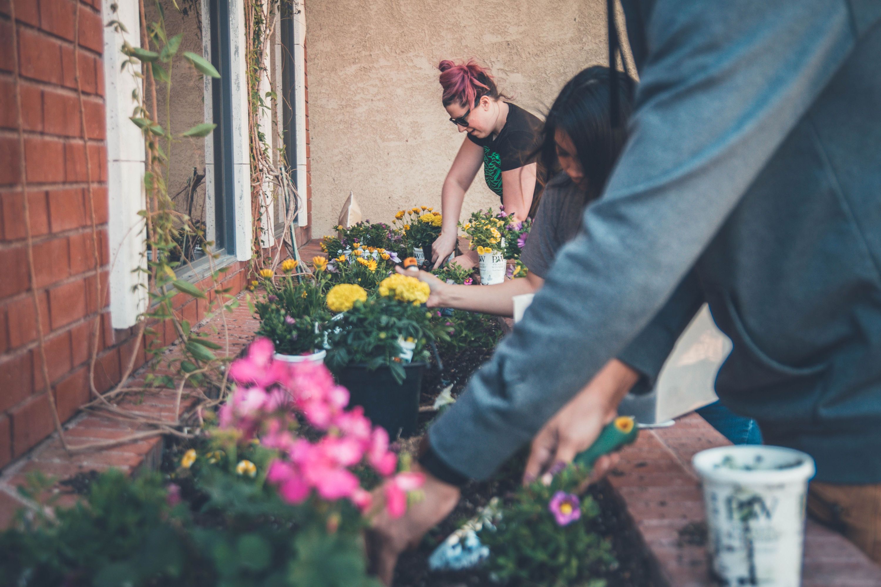 Bild Netzwerk Nachbarschaft: Frauen setzen gemeinsam bunte Blumen in den Pflanztrog ein. 